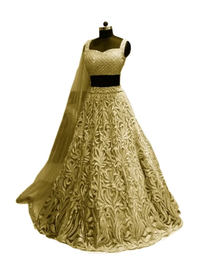 professional wedding dress cleaning service in Punjabi Bagh